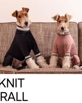 Alphaicon Spanknit Coverall Dog Wear