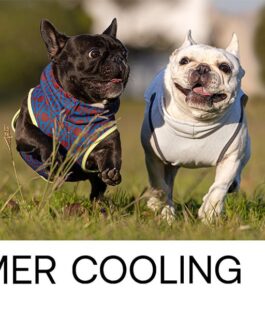 Alphaicon Summer Cooling Neck Dog Wear