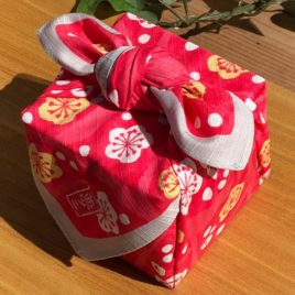 Japanese Furoshiki Plum Sprig Yumeji Takehisa Wrapping Cloth Cotton 100%