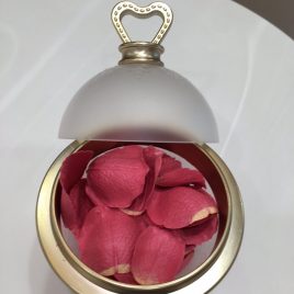 F/S LADUREE Les Merveilleuses Makeup FACE COLOR ROSE LADUREE with Petal Refill