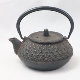 Vintage Japanese Nanbu Tekki Cast Ironware Teapot Enamel Coated (Not Kettle) A ***USED***